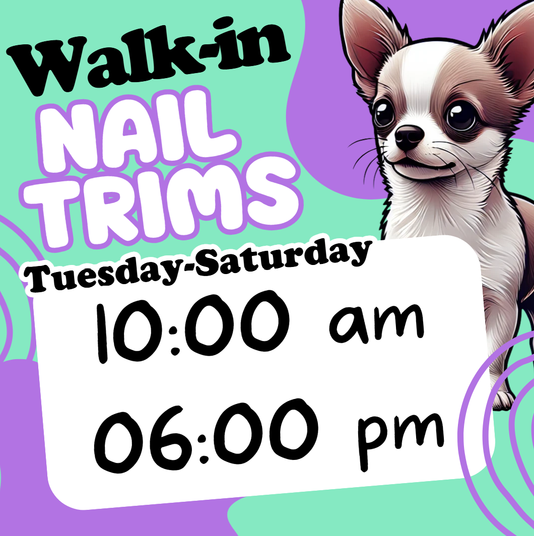 All Paws Salon Facebook ad: Nail trims for dogs & cats walk in…