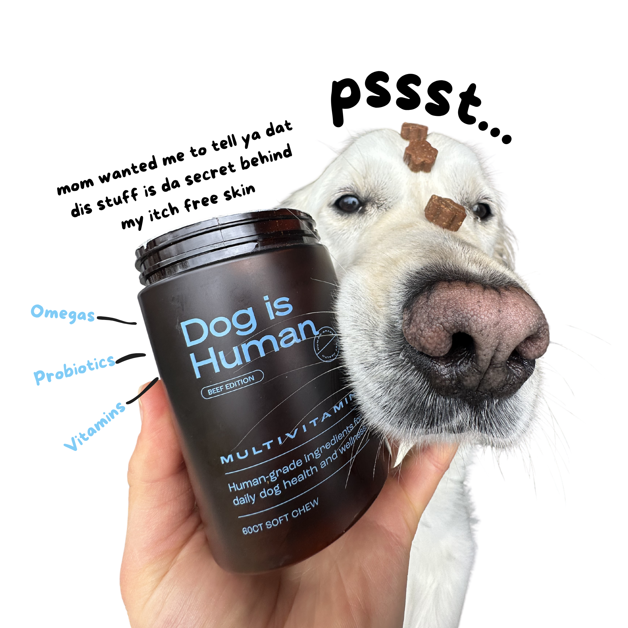 Dog is Human Facebook ad