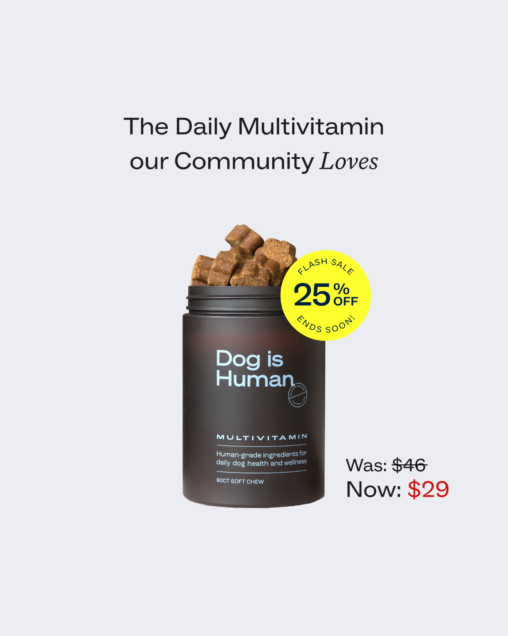 Dog is Human Facebook ad