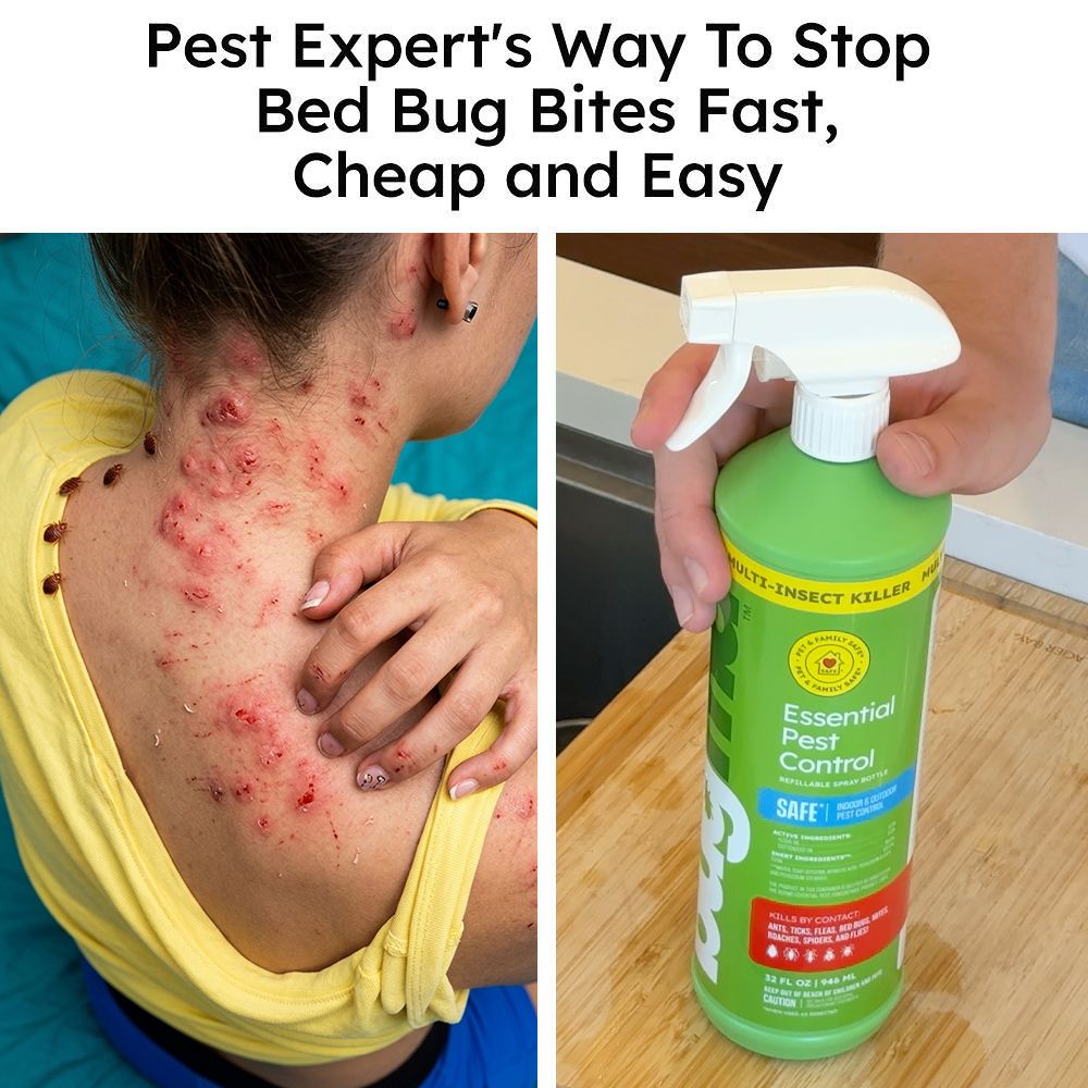 Ultimate Bed Bug Solution Facebook ad