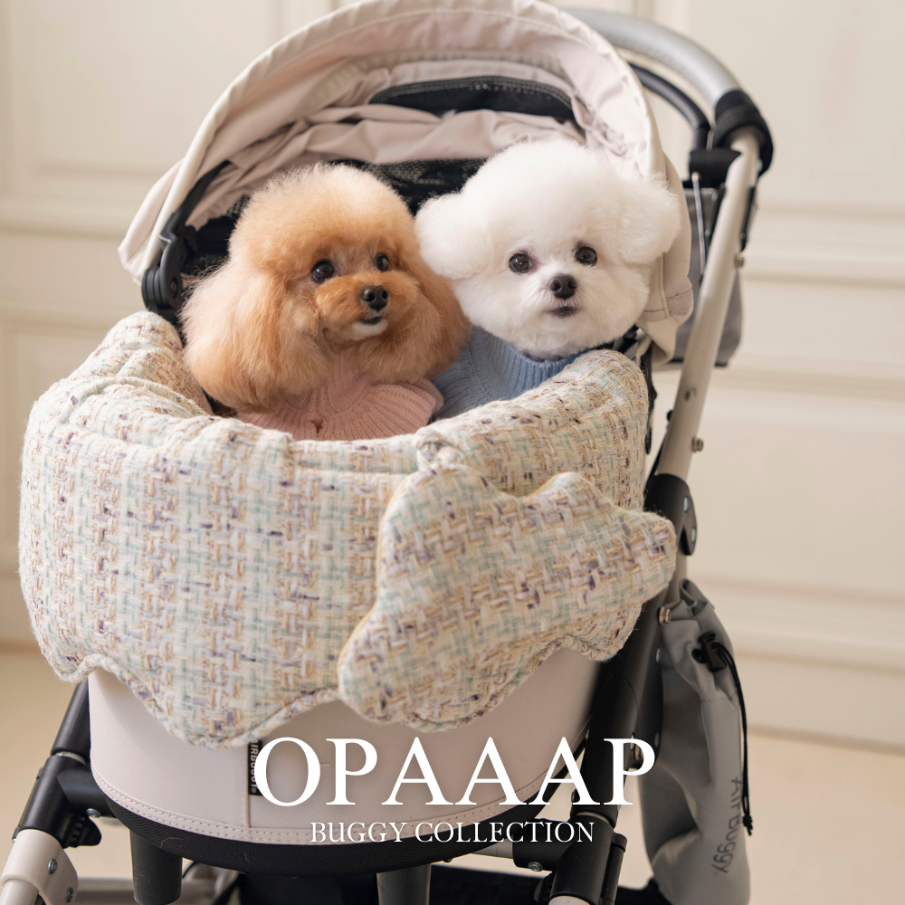 Opaaap Japan Facebook ad