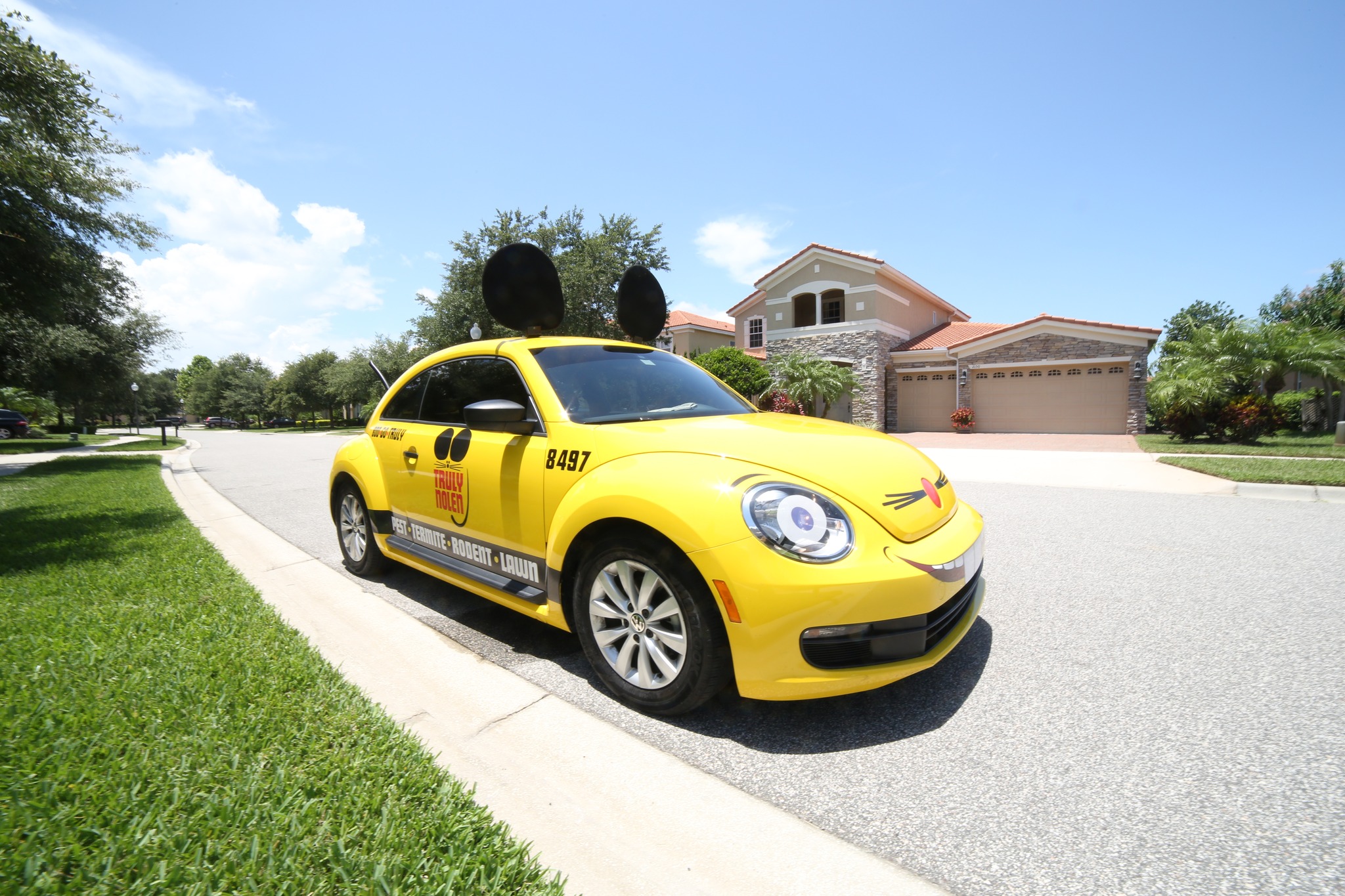 Truly Nolen Pest & Termite Control - Lancaster, PA Facebook ad: Noticing pests in your home or business?