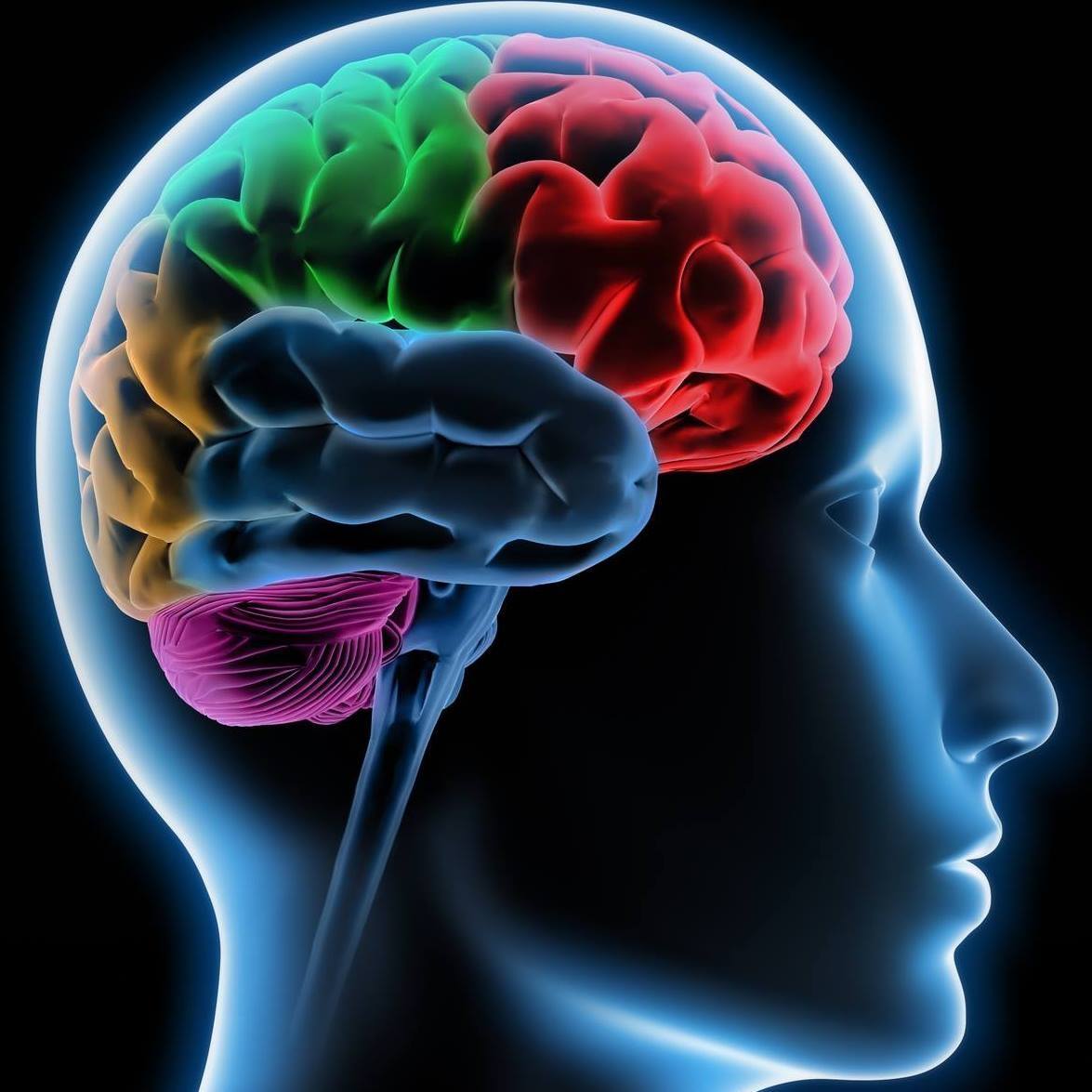 Developmental Personality Neuroscience Lab Facebook ad from May 19, 2026