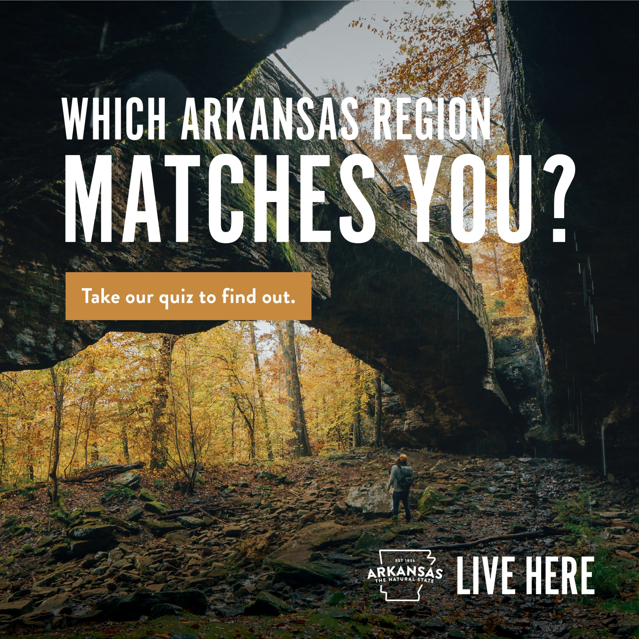Arkansas Department of Commerce Facebook ad