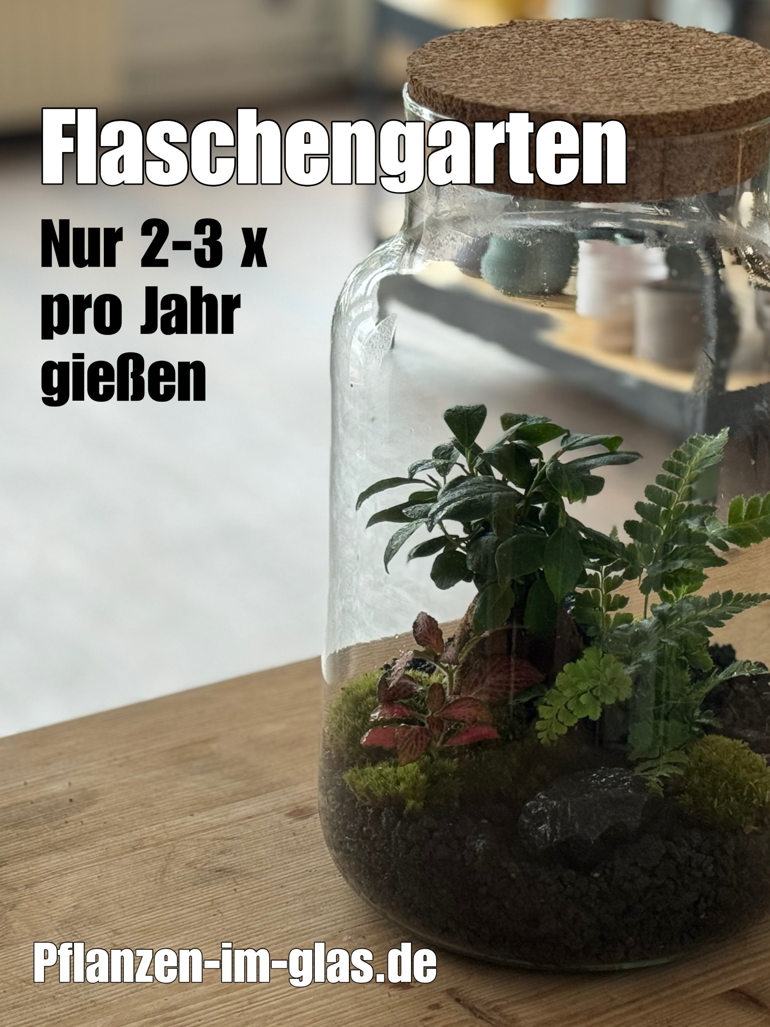 pflanzenimglas Facebook ad