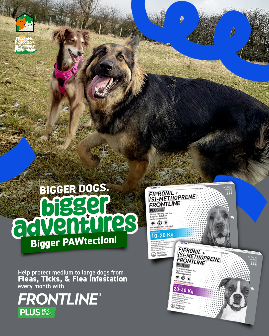 Frontline Pet Care PH Facebook ad: Bigger PAWtection!