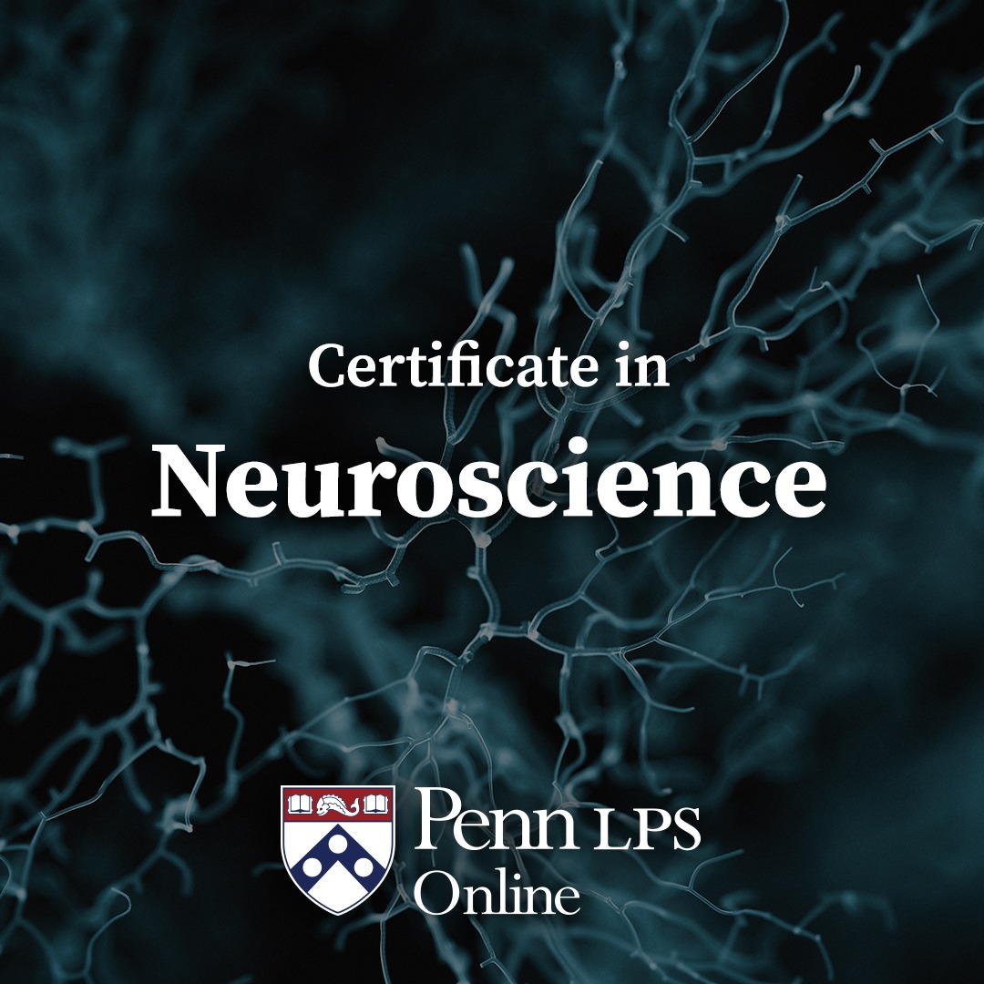 Penn LPS Online Facebook ad