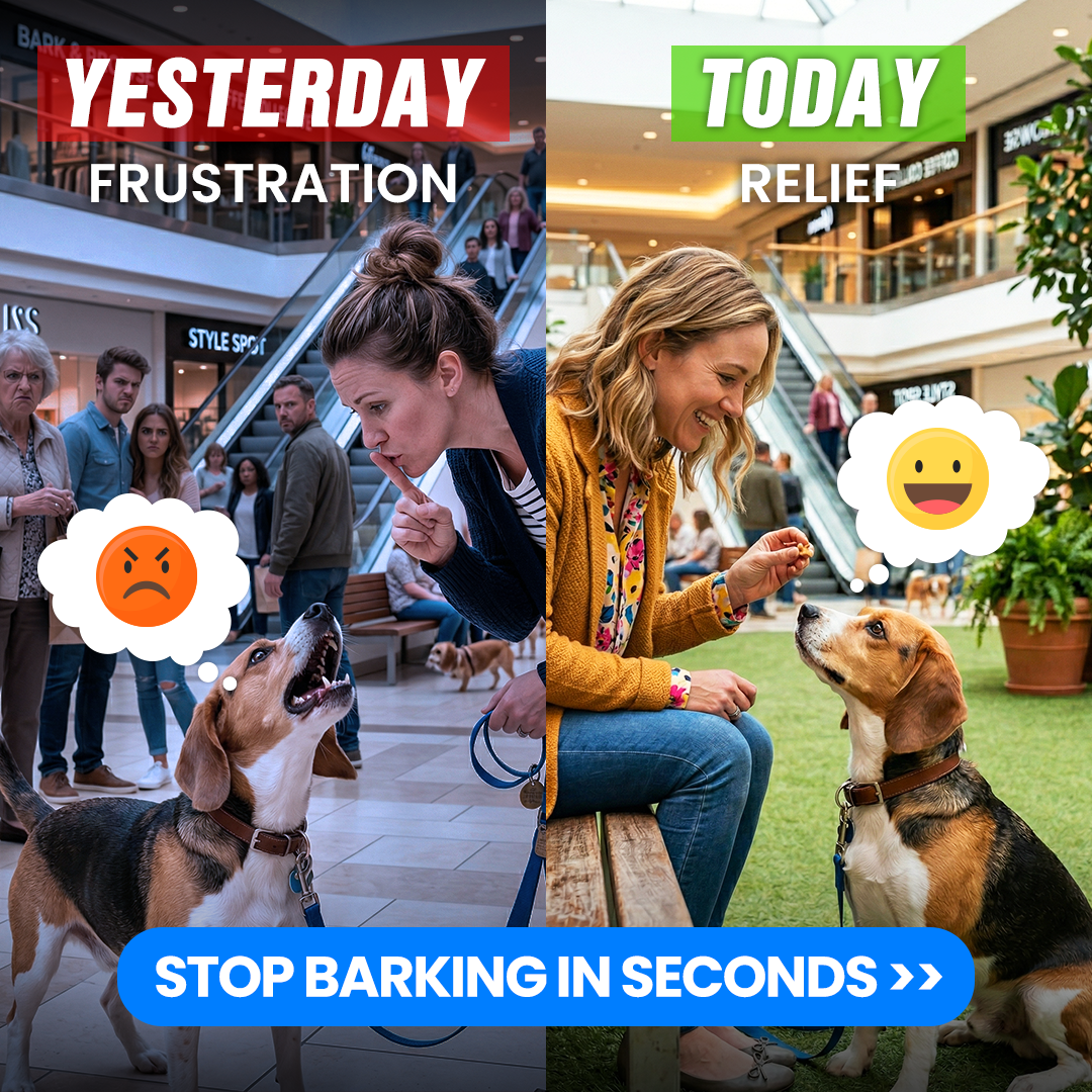 Mike James Dog Training Facebook ad