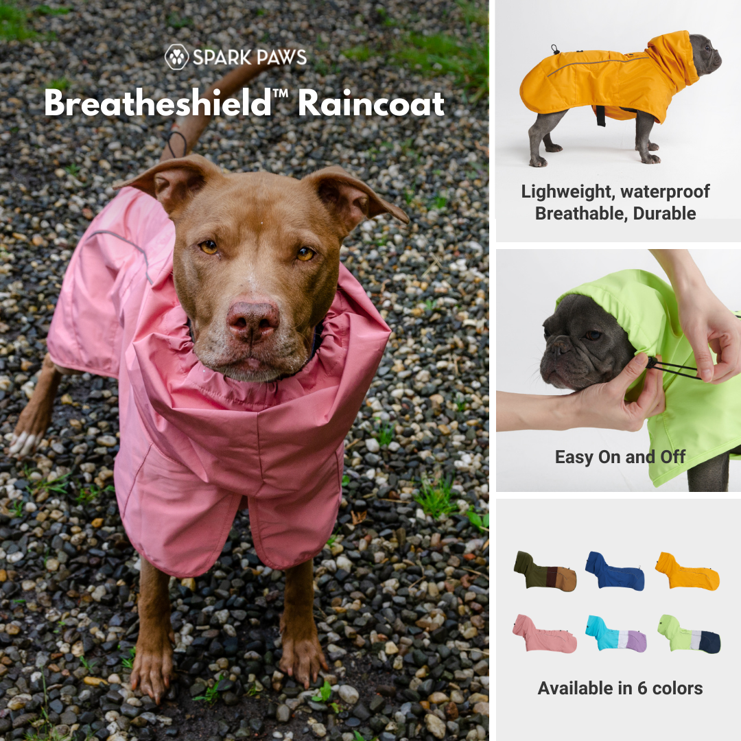 Spark Paws Facebook ad