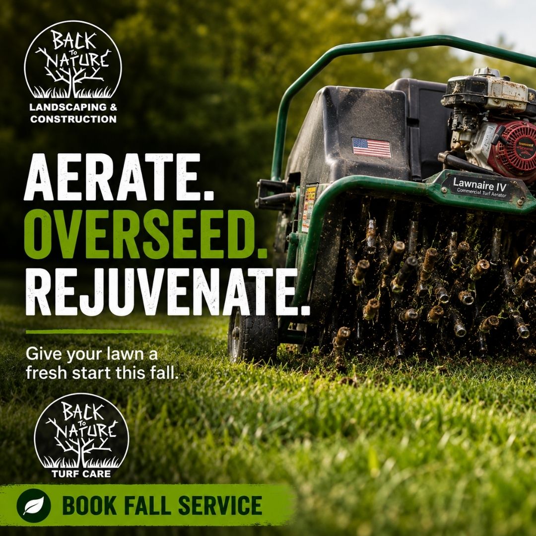 Back to Nature Landscaping & Construction Facebook ad