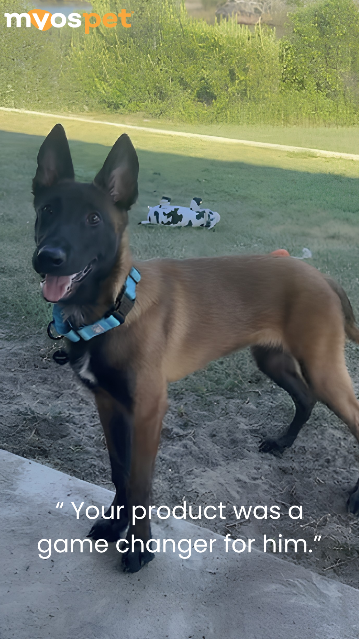 Myos Pet Products Facebook ad