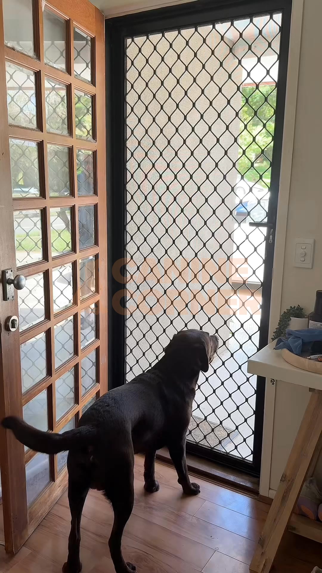 Canine Corner Australia Facebook ad: Finally. A Quiet Home Again.