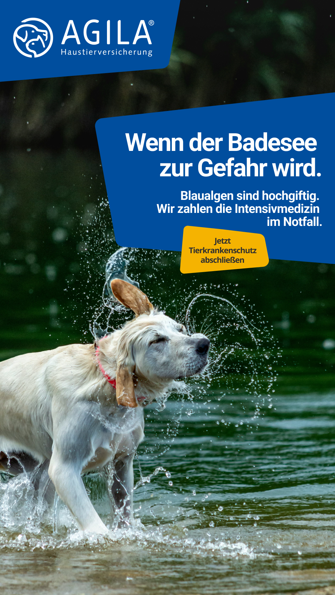 AGILA Haustierversicherung Facebook ad