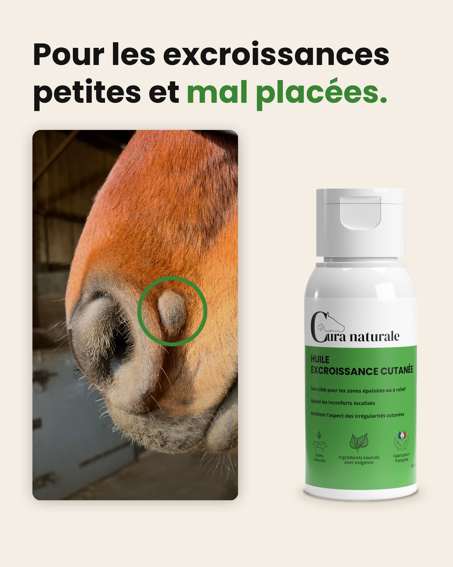 Cura naturale Facebook ad: Huile excroissance cutanée pour cheval