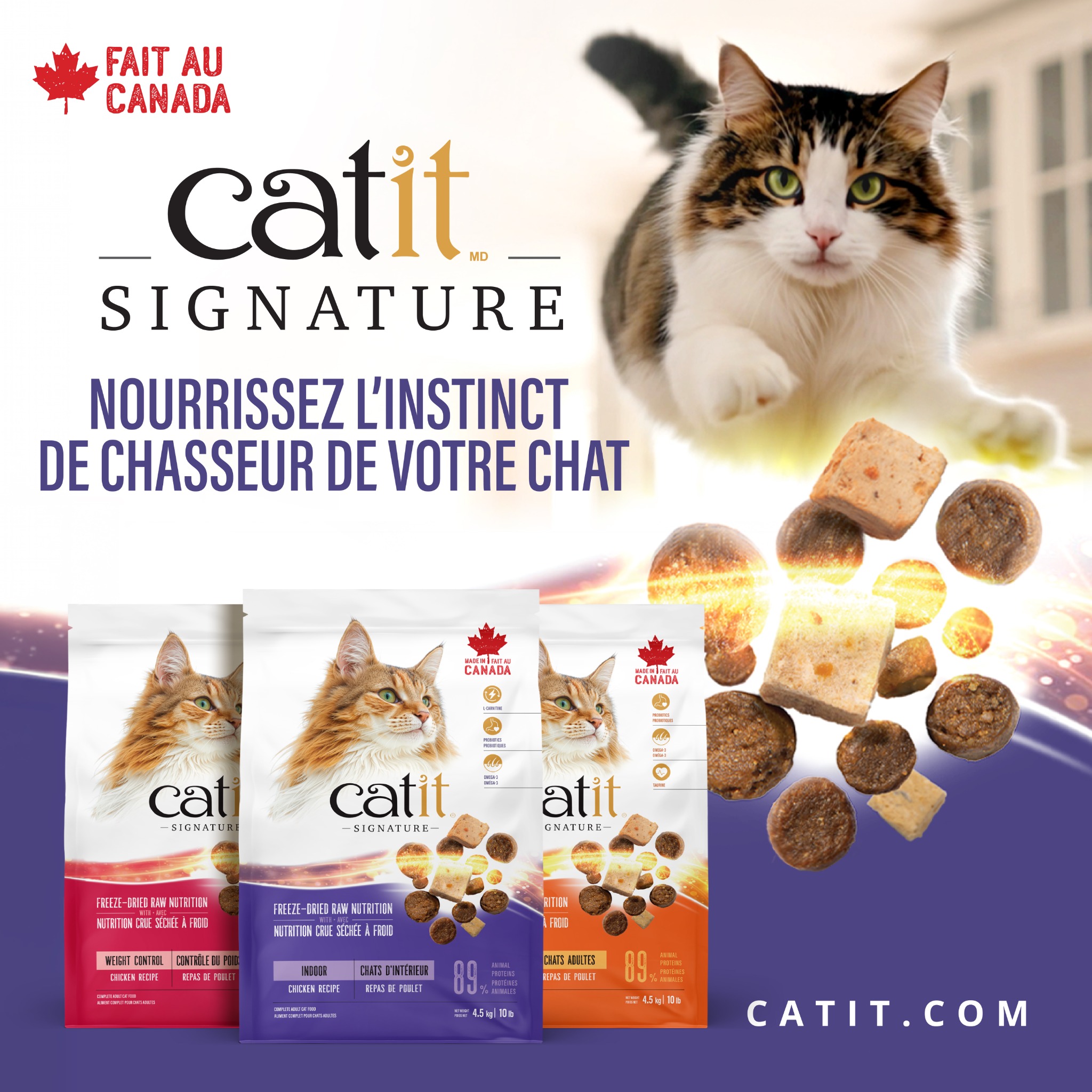 Catit Canada Facebook ad