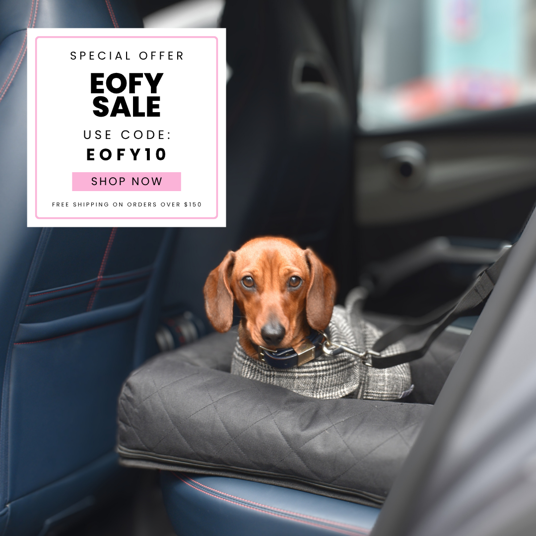 Hollys Paws Facebook ad