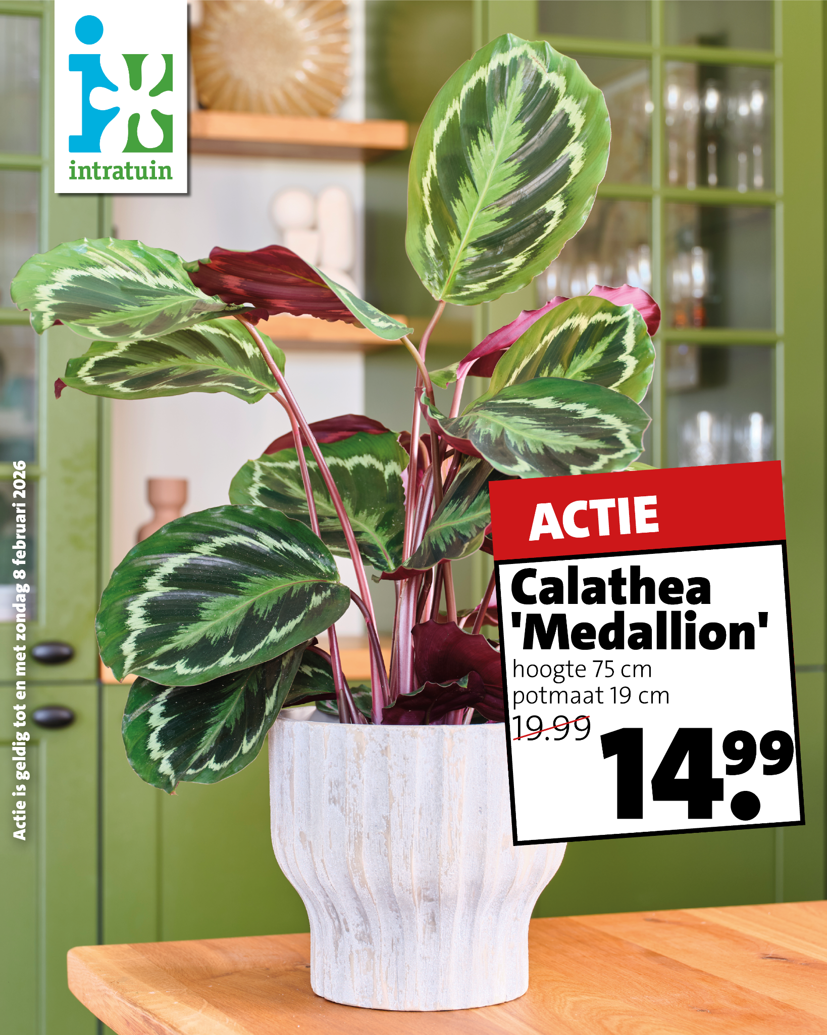 Intratuin Nuenen Facebook ad from Feb 2, 2026