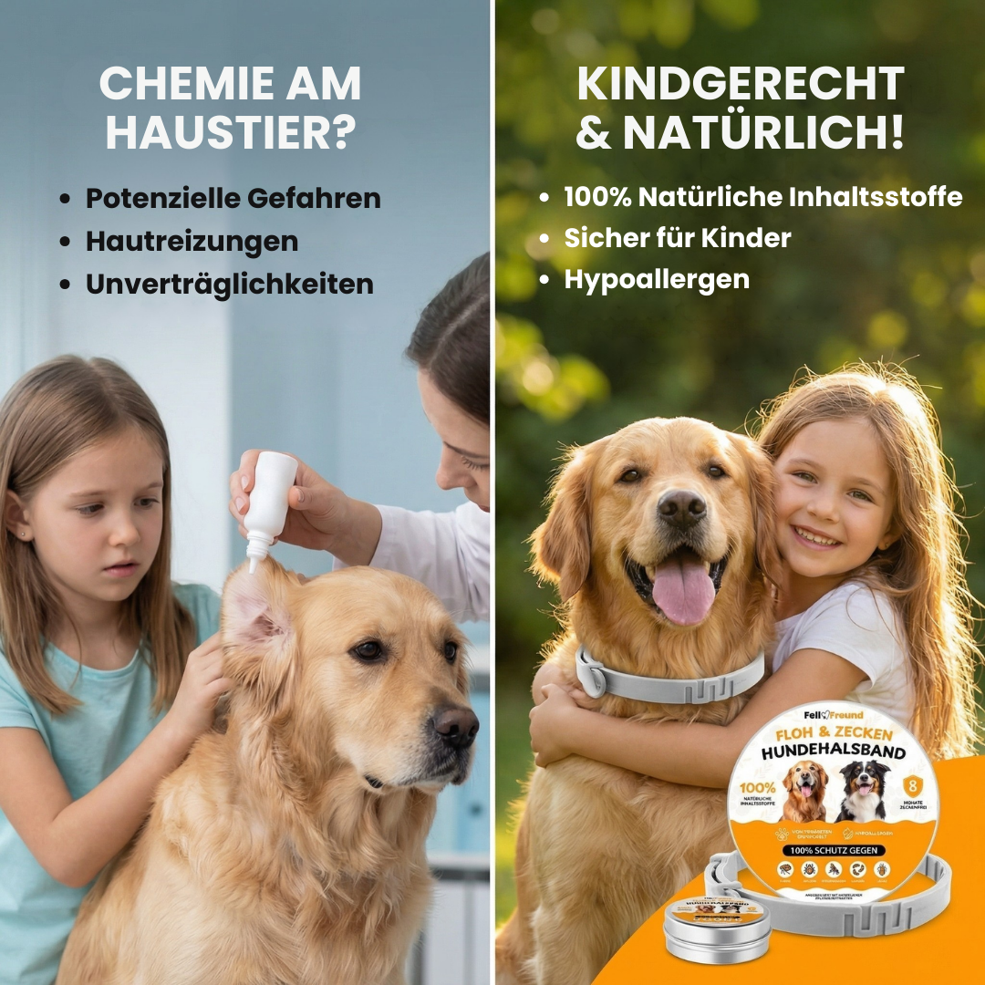 FellFreund Facebook ad: 50.000+ Zeckenfreie Hunde