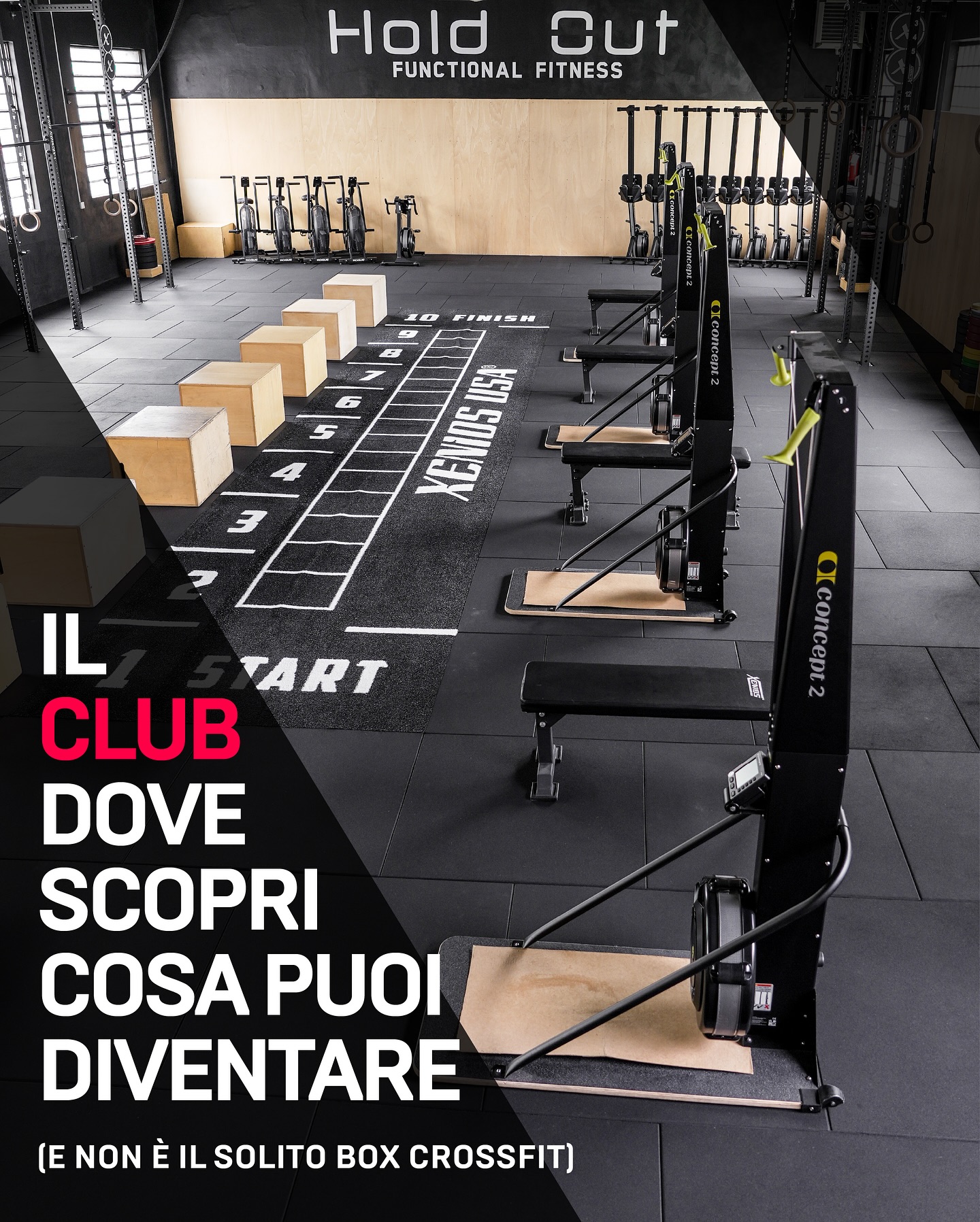Hold Out Novara Facebook ad