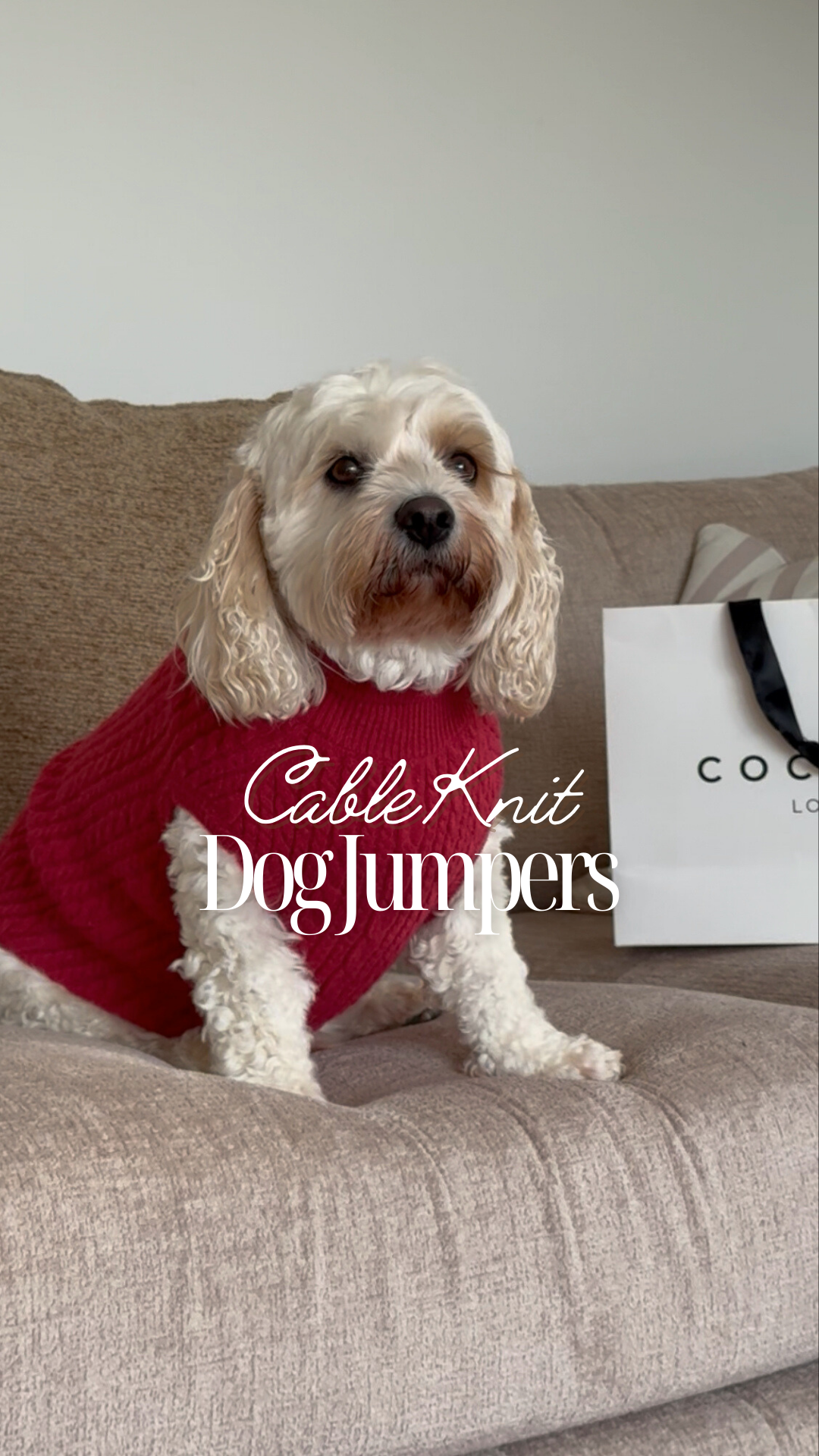 Cocopupuk Facebook ad