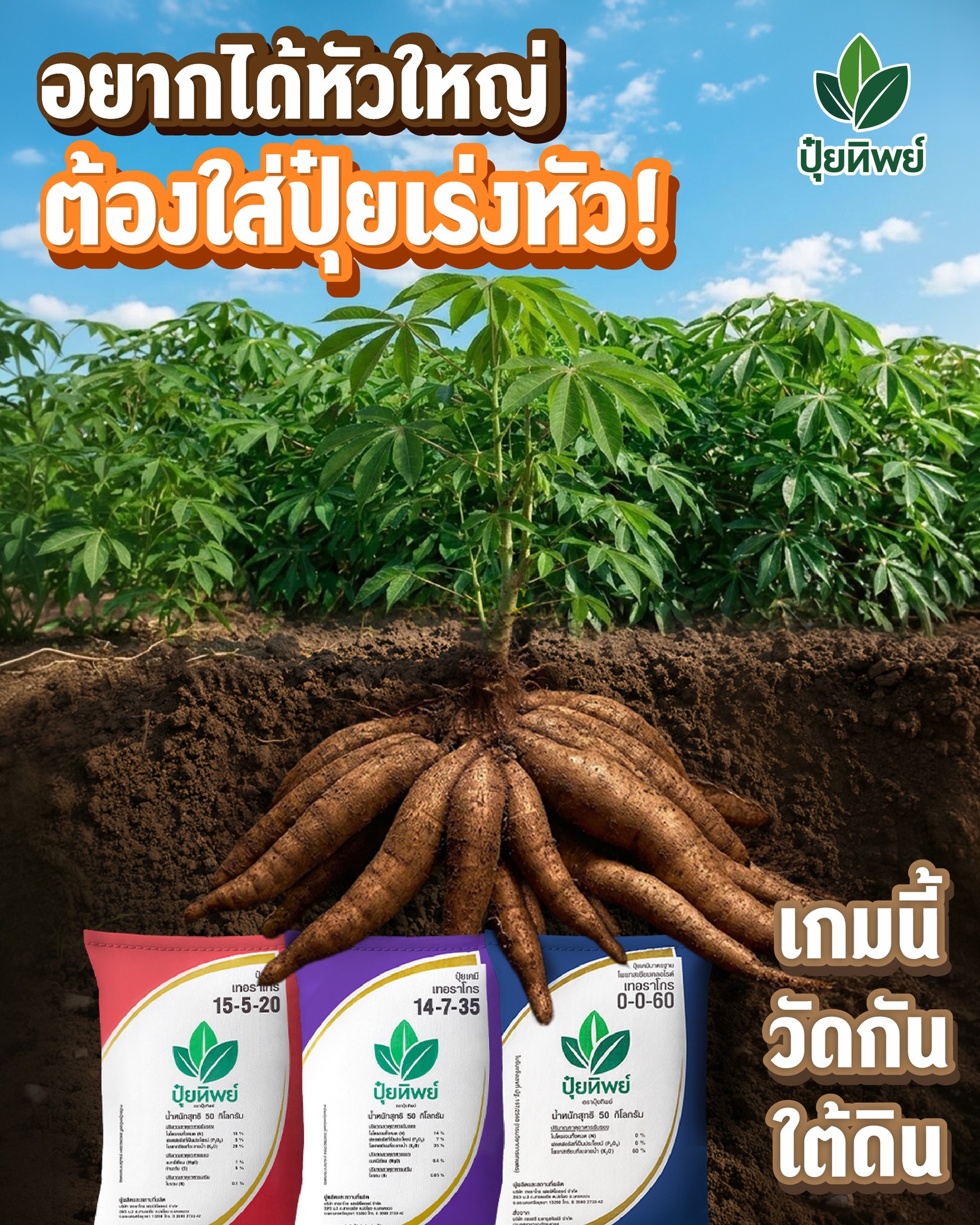 เกษตรกรช่างคิด Facebook ad: อยากได้หัวใหญ่