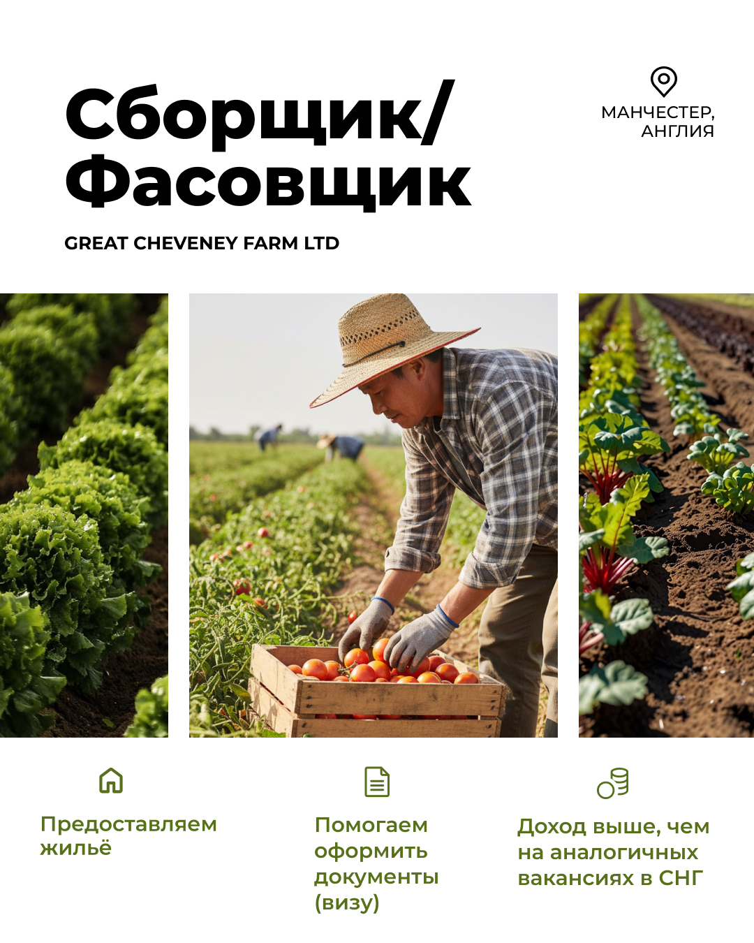 Concept Group Facebook ad: Оставляй заявку по кнопке ниже!