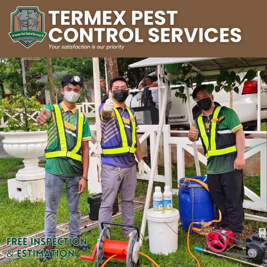 Termex Pest Control Services Facebook ad: ๐๐ญ๐ซ๐๐ฌ๐ฌ ๐๐๐จ๐ฎ๐ญ ๐๐๐๐ ๐๐ง๐ ๐จ๐ญ๐ก๐๐ซโฆ