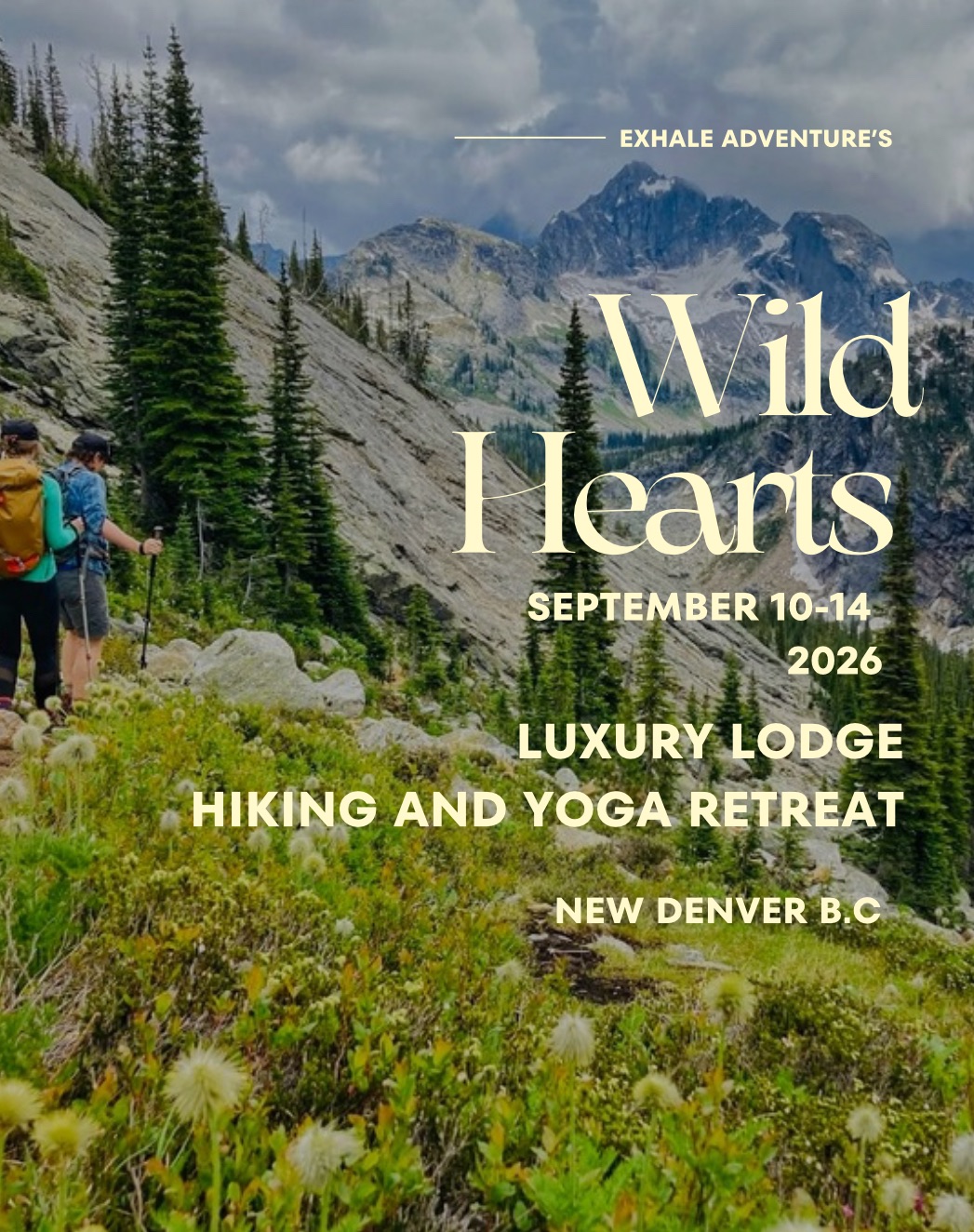 For-rest Retreat Facebook ad: WILD HEARTS LUXURY RETREAT