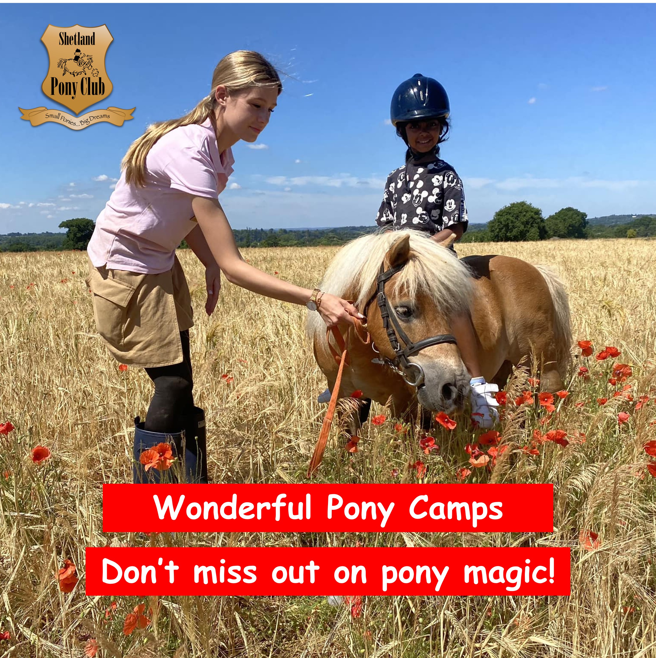 Shetland Pony Club Facebook ad