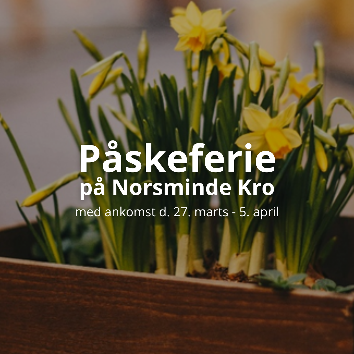 Norsminde Kro Facebook ad: Påske, ro og noget godt i glasset
