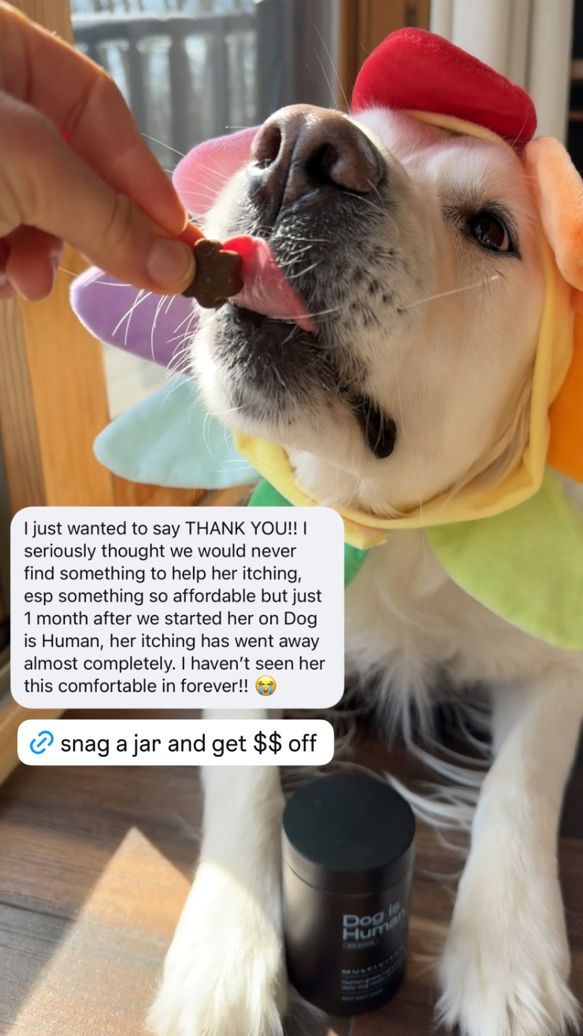 Dog is Human Facebook ad