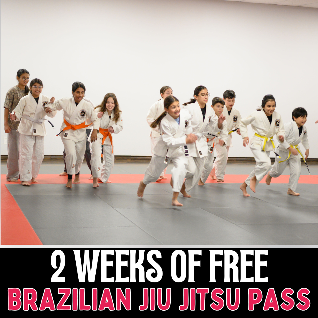 LX Jiu-Jitsu & Self Defense - Sugar Land, TX Facebook ad