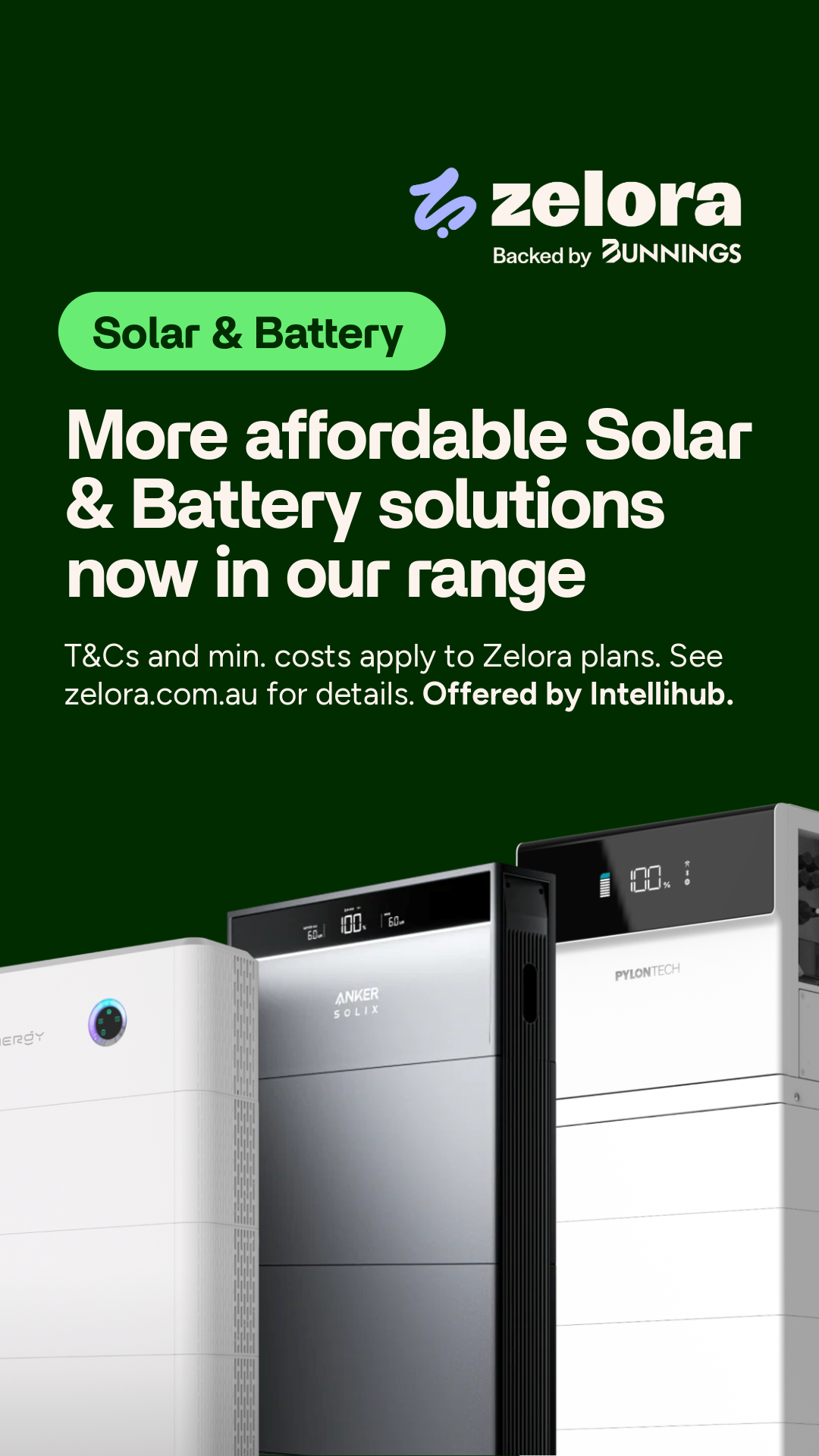 Bunnings Warehouse Australia Facebook ad