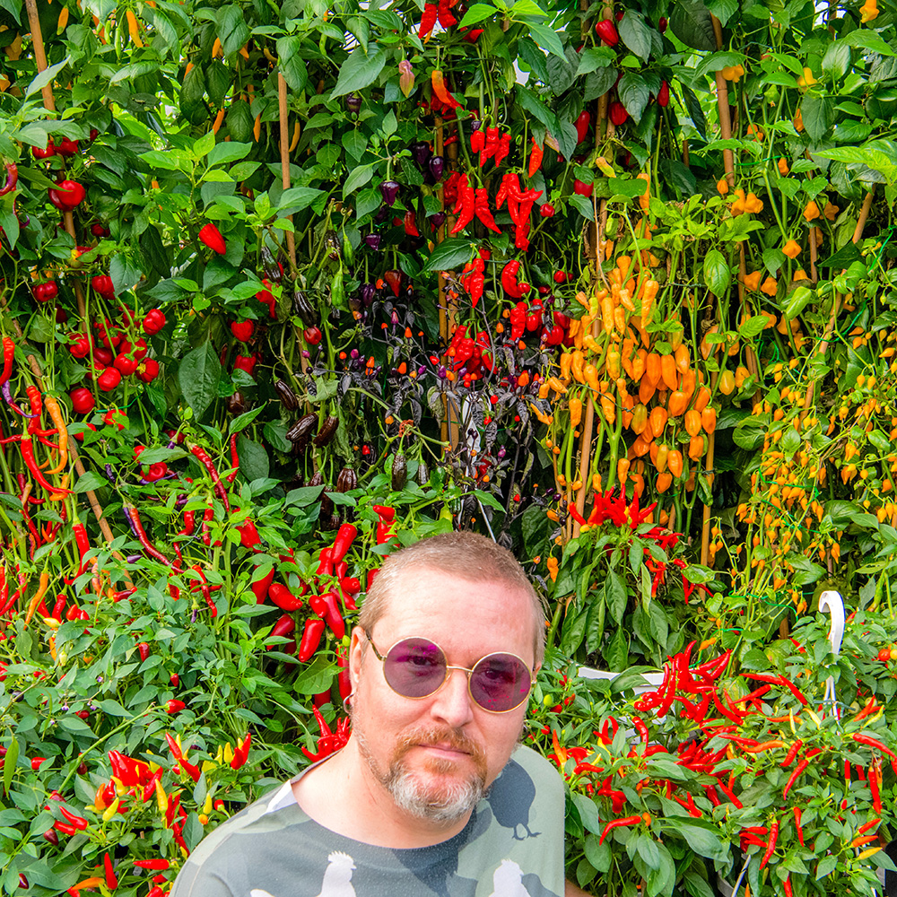 fatalii.net Facebook ad: The world's most rare and exotic chili seeds.