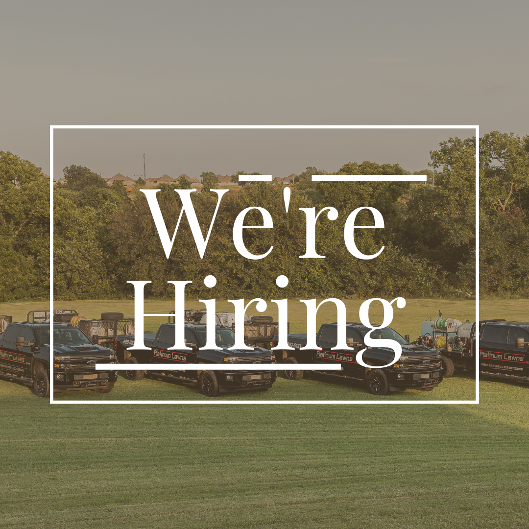 Platinum Lawns Facebook ad: Join Our Team Today