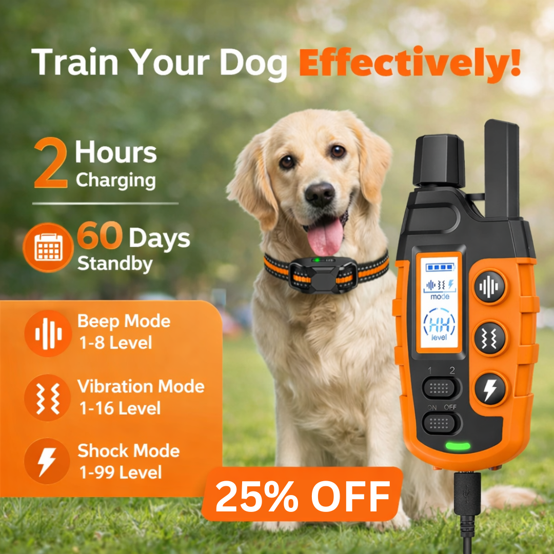 Dog Genic Facebook ad: Take Control of Training Today!
