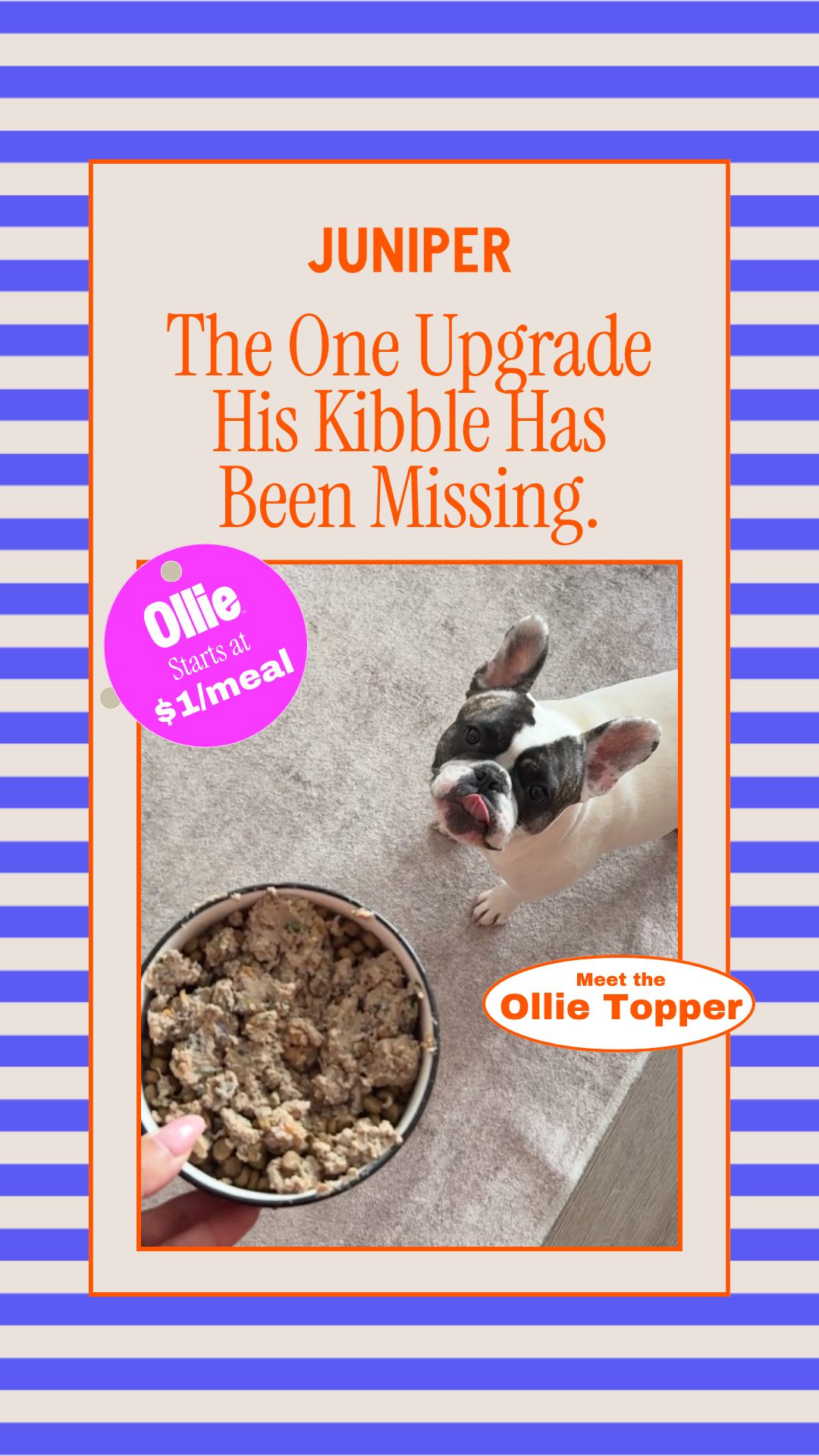 Juniper- The best online community for dog parents Facebook ad