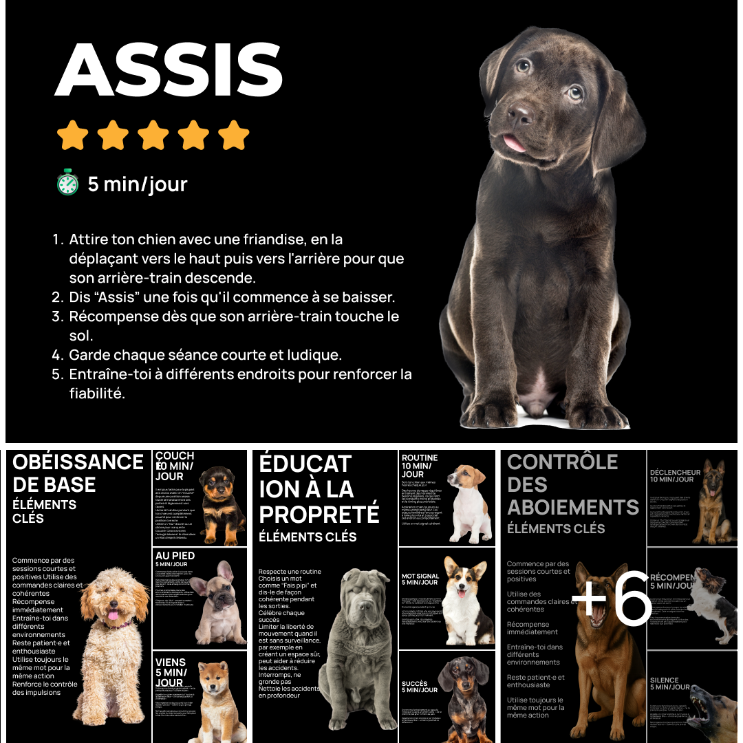 Dogo Facebook ad