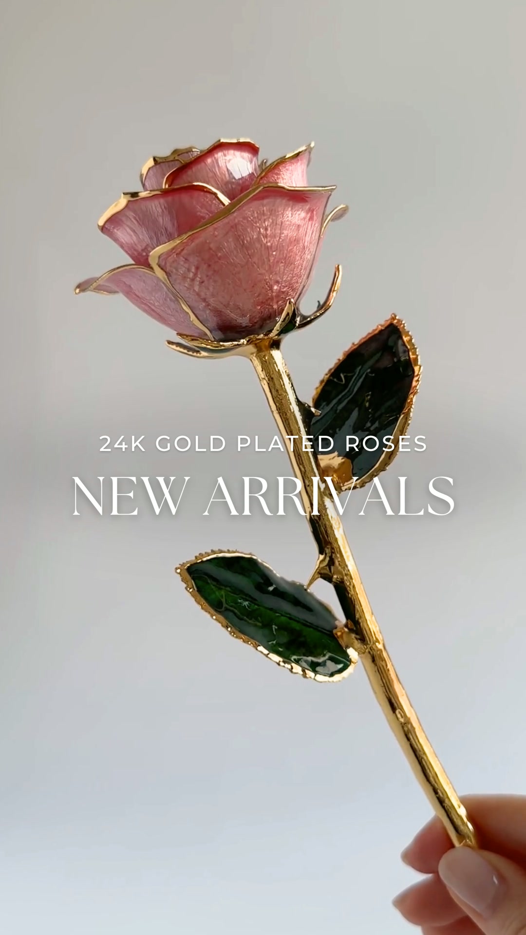 Selene & Amor Facebook ad: Find Their Favourite Rose