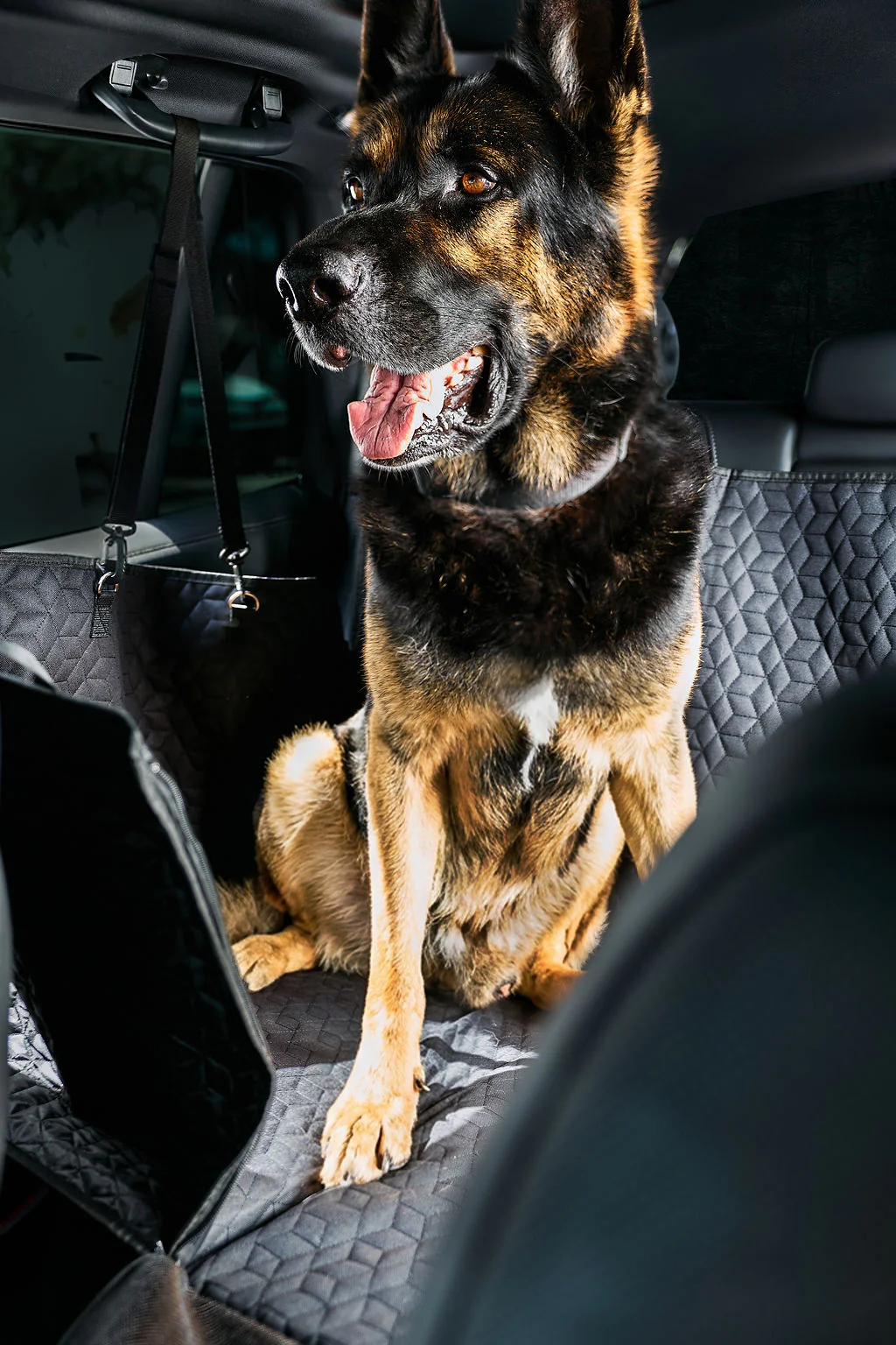 Cabin K9 Facebook ad from May 27, 2026