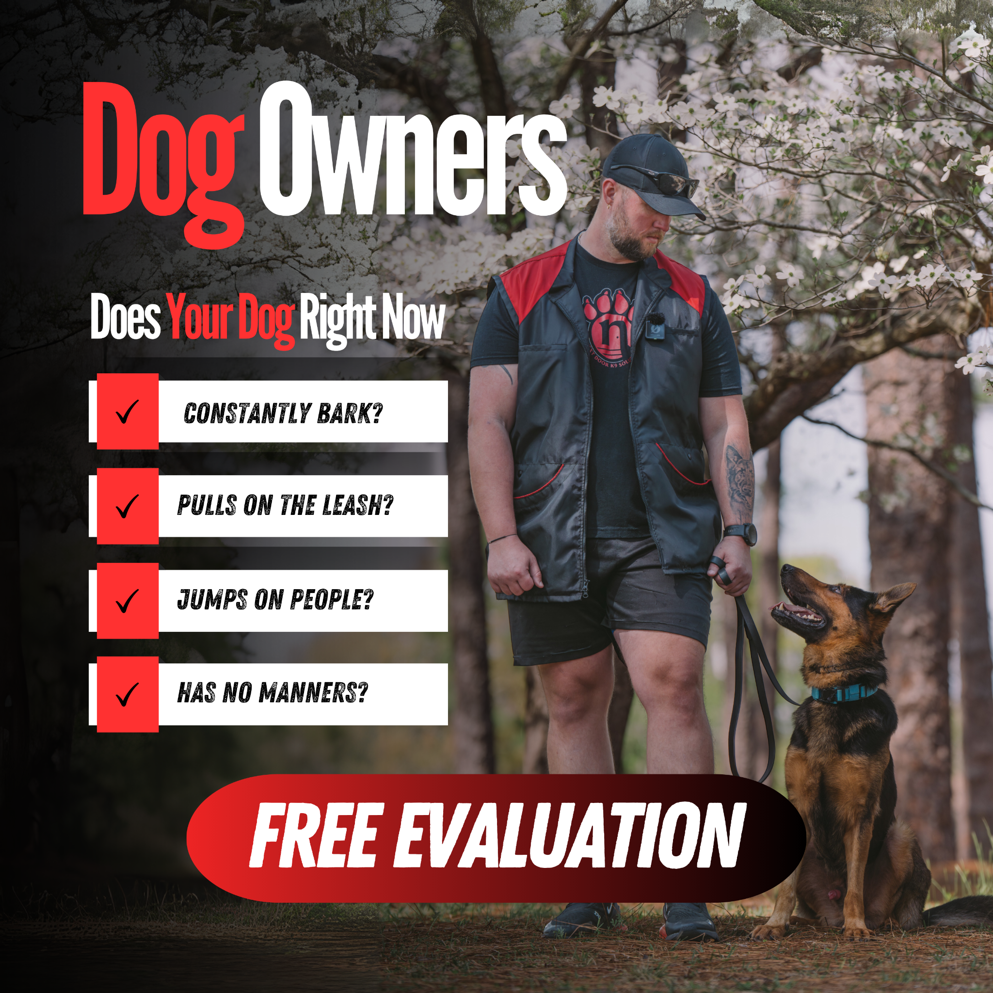 Next-Door K9 Solutions Facebook ad