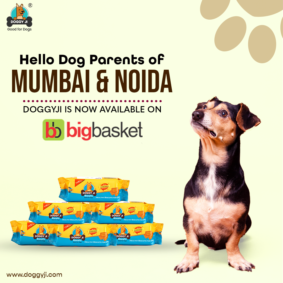 Doggyji_official Facebook ad