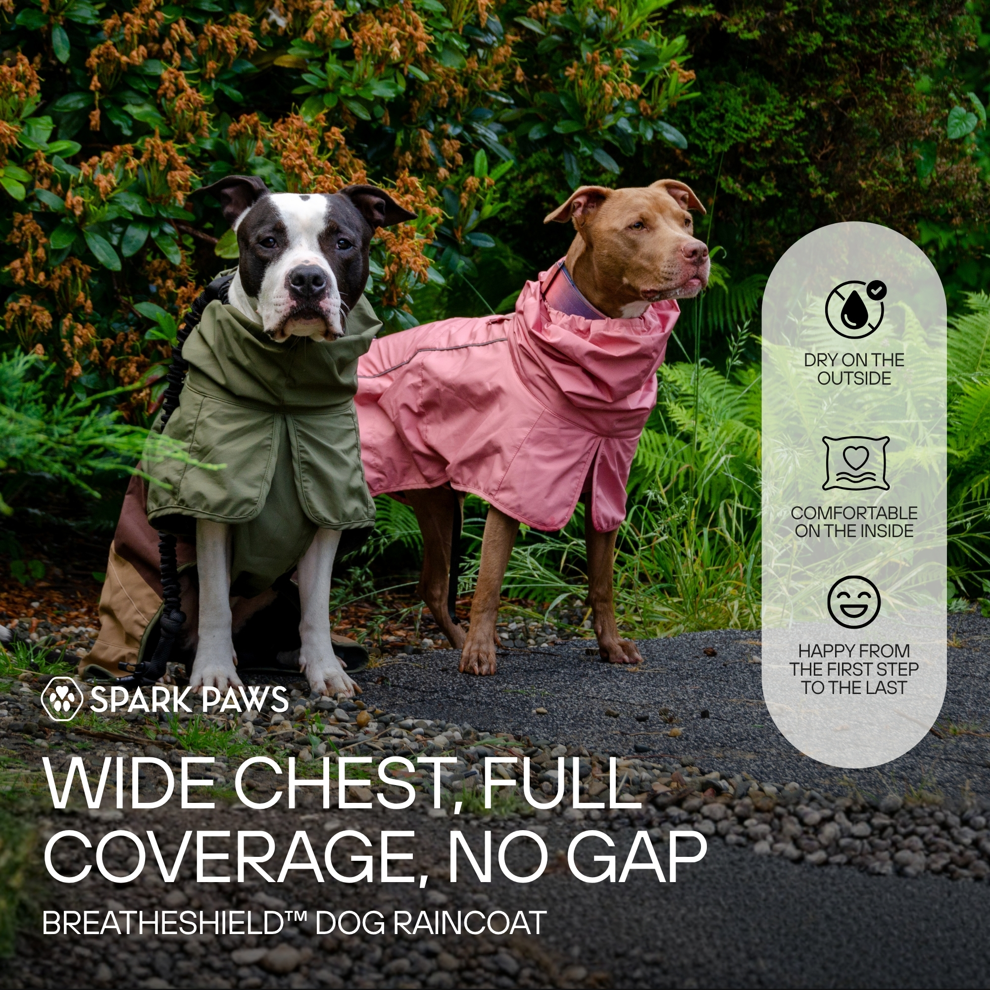 Spark Paws Facebook ad
