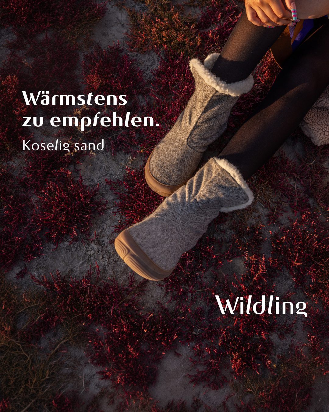 Wildling Shoes Facebook ad: Herbst/Winter 26
