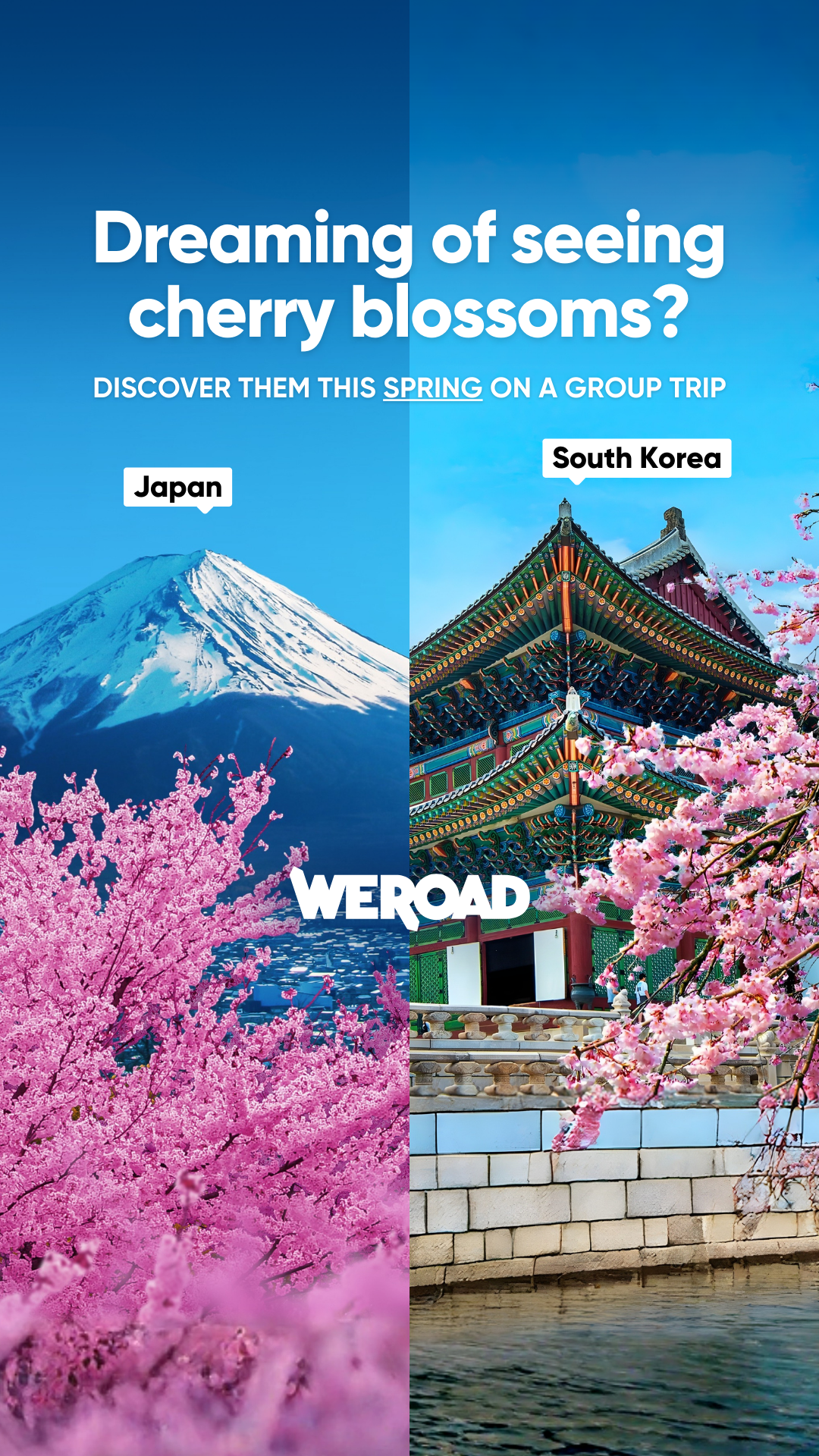 WeRoad Travel Facebook ad