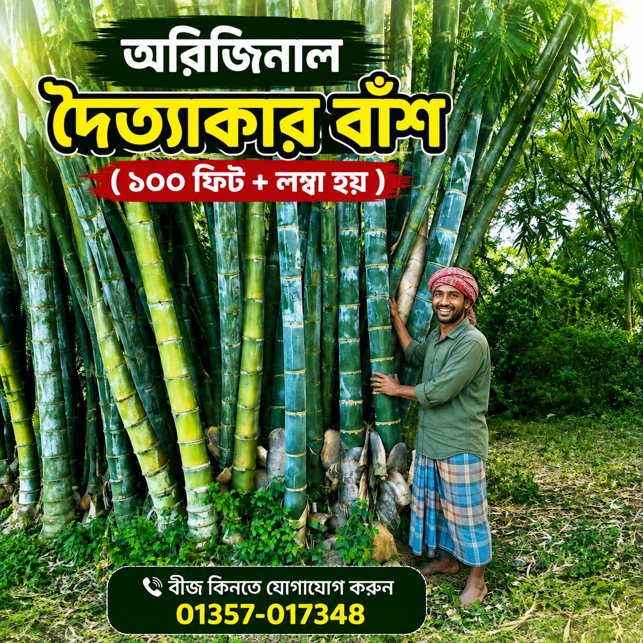 𝐒𝐞𝐞𝐝𝐆𝐨 Facebook ad