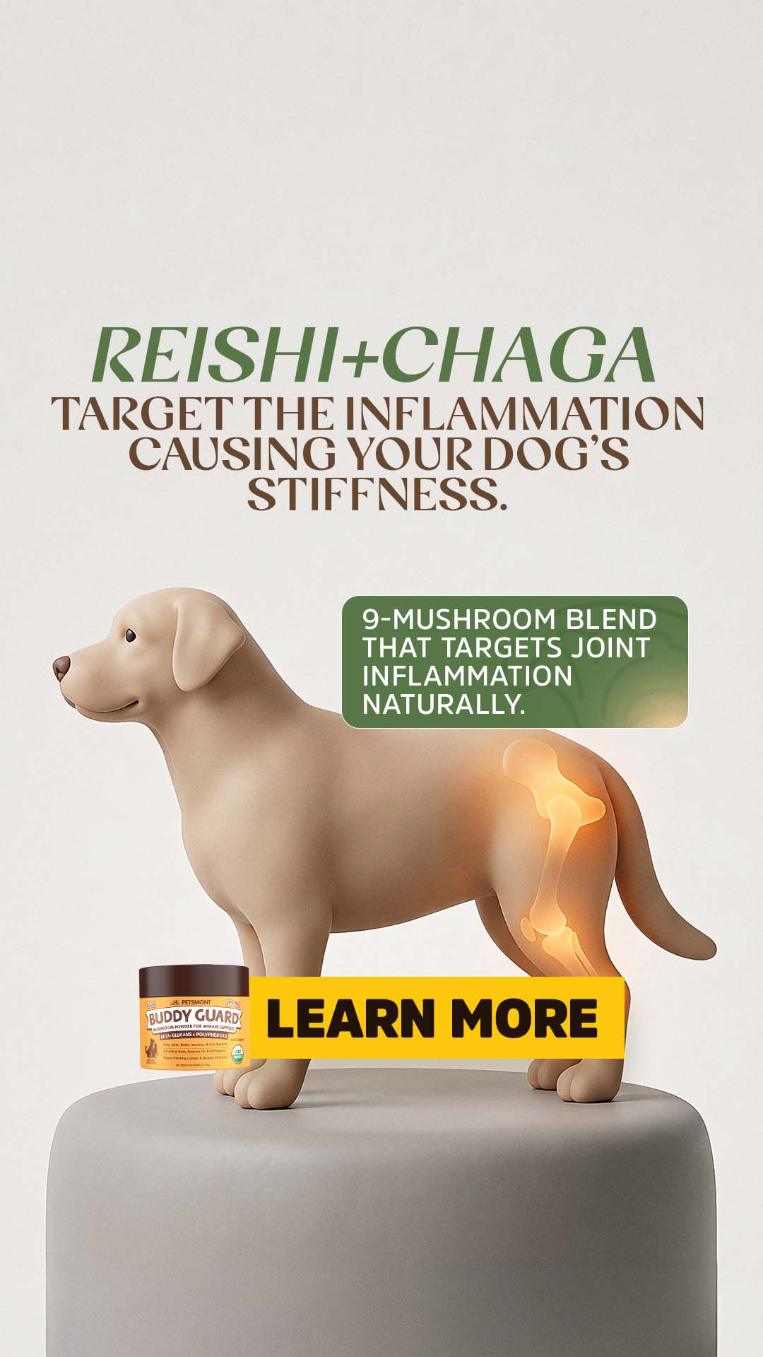Well Pup Life Facebook ad