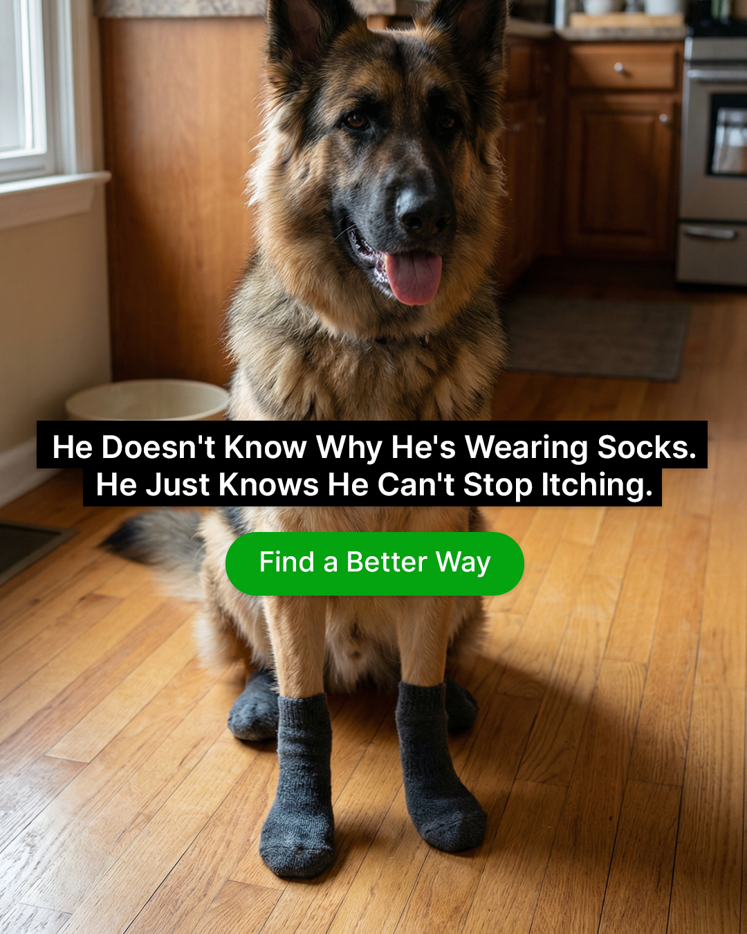PetLab Co. Facebook ad