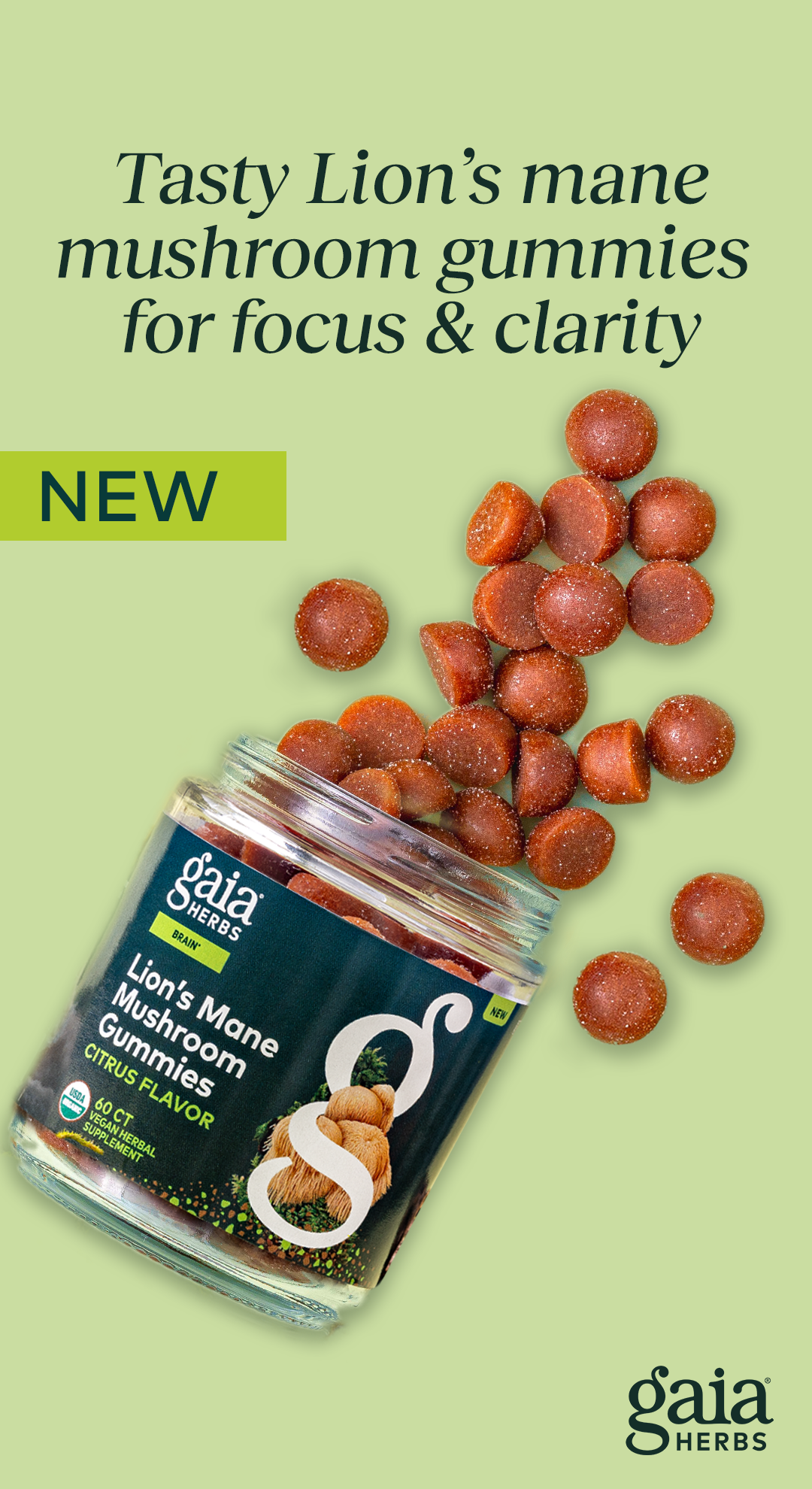 Gaia Herbs Facebook ad