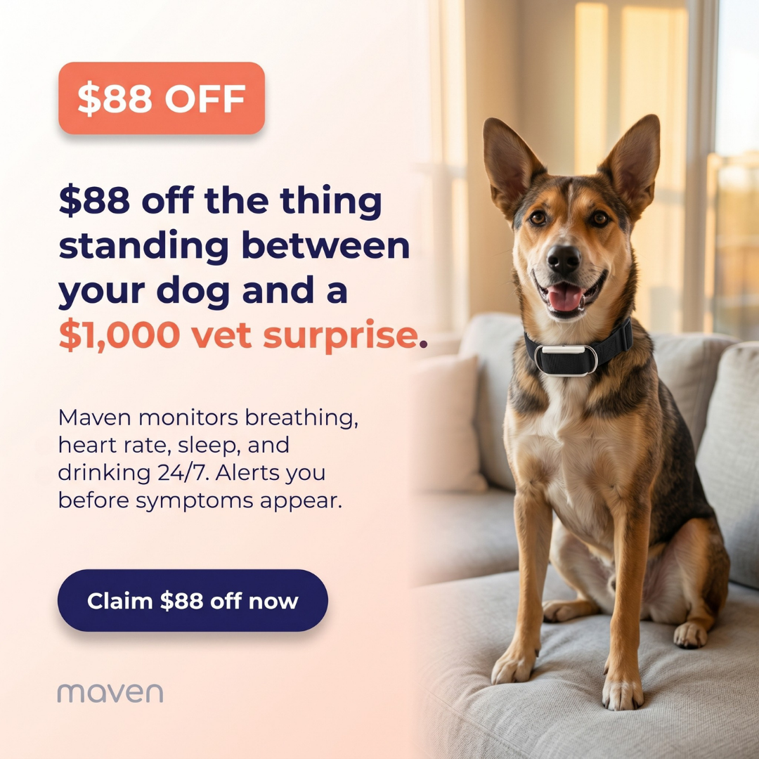 Maven Pet Facebook ad